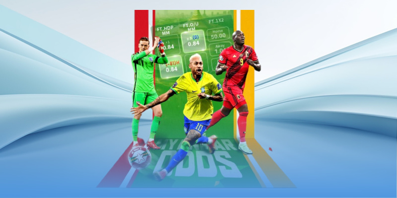 Hợp tác cùng Tottenham và Newcastle United